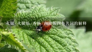 火腿/火腿肠/香肠/肉灌肠四个名词的解释 火腿/火腿肠/香肠/肉灌肠四个名词的解释