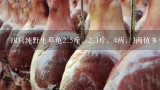 4只纯野生草龟2.5斤,2.3斤,4两,3两值多少钱?谢 4只纯野生草龟2.5斤,2.3斤,4两,3两值多少钱?谢