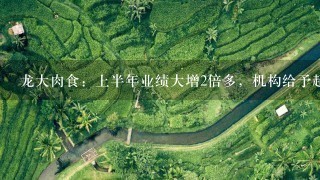 龙大肉食:上半年业绩大增2倍多,机构给予超60%上涨 龙大肉食:上半年业绩大增2倍多,机构给予超60%上涨