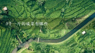 5千1斤的咸菜有哪些 5千1斤的咸菜有哪些