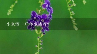 小米酒1斤多少钱呀? 小米酒1斤多少钱呀?