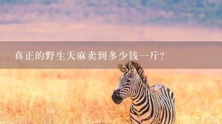 真正的野生天麻卖到多少钱1斤? 真正的野生天麻卖到多少钱1斤?