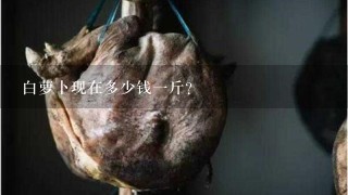 白萝卜现在多少钱1斤? 白萝卜现在多少钱1斤?