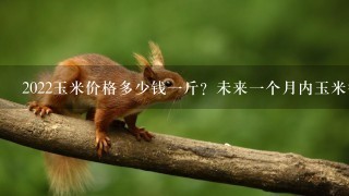 2022玉米价格多少钱1斤?未来1个月内玉米行情如何 2022玉米价格多少钱1斤?未来1个月内玉米行情如何
