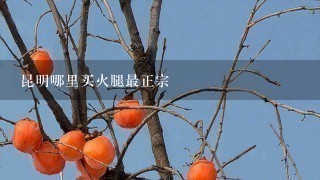 昆明哪里买火腿最正宗 昆明哪里买火腿最正宗