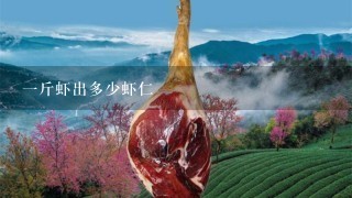 1斤虾出多少虾仁 1斤虾出多少虾仁
