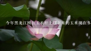 今年黑龙江刚在玉米杆上摆下来的玉米现在多少钱1斤 今年黑龙江刚在玉米杆上摆下来的玉米现在多少钱1斤
