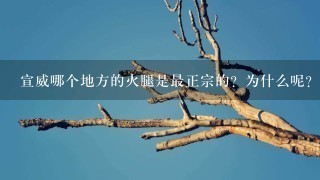 宣威哪个地方的火腿是最正宗的?为什么呢? 宣威哪个地方的火腿是最正宗的?为什么呢?