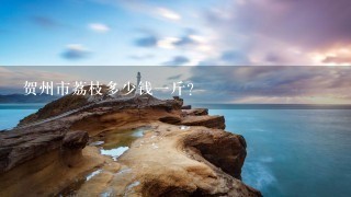 贺州市荔枝多少钱1斤? 贺州市荔枝多少钱1斤?