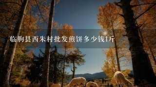 临朐县西朱村批发煎饼多少钱1斤 临朐县西朱村批发煎饼多少钱1斤