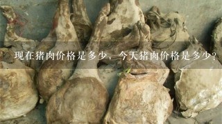 现在猪肉价格是多少,今天猪肉价格是多少? 现在猪肉价格是多少,今天猪肉价格是多少?