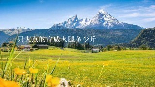 一只大点的宣威火腿多少斤 一只大点的宣威火腿多少斤