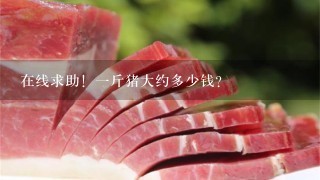 在线求助!1斤猪大约多少钱? 在线求助!1斤猪大约多少钱?