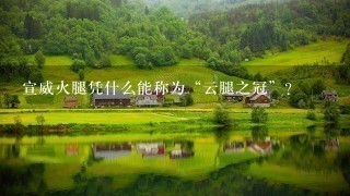 宣威火腿凭什么能称为“云腿之冠”? 宣威火腿凭什么能称为“云腿之冠”?