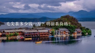 毛尖茶多少钱1斤?明前茶价格? 毛尖茶多少钱1斤?明前茶价格?