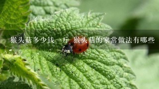猴头菇多少钱1斤 猴头菇的家常做法有哪些 猴头菇多少钱1斤 猴头菇的家常做法有哪些