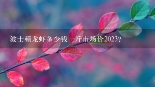波士顿龙虾多少钱1斤市场价2023? 波士顿龙虾多少钱1斤市场价2023?