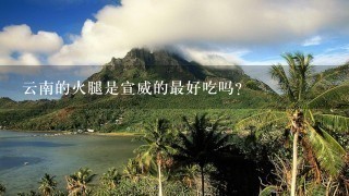 云南的火腿是宣威的最好吃吗? 云南的火腿是宣威的最好吃吗?