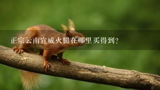 正宗云南宣威火腿在哪里买得到? 正宗云南宣威火腿在哪里买得到?