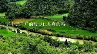 5十元1斤的酸枣仁是真的吗 5十元1斤的酸枣仁是真的吗