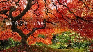 蜂蛹多少钱1斤价格 蜂蛹多少钱1斤价格