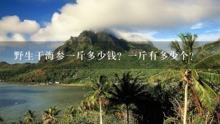 野生干海参1斤多少钱?1斤有多少个? 野生干海参1斤多少钱?1斤有多少个?