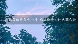 鸡枞菌价格多少1斤 鸡枞价格为什么那么贵 鸡枞菌价格多少1斤 鸡枞价格为什么那么贵