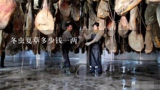 冬虫夏草多少钱1两 冬虫夏草多少钱1两