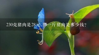 230克猪肉是28元,那1斤猪肉是多少钱? 230克猪肉是28元,那1斤猪肉是多少钱?