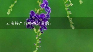 云南特产有哪些好带的? 云南特产有哪些好带的?