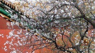 鬼虾多少钱1斤? 鬼虾多少钱1斤?