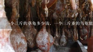 1个3斤的草龟多少钱,1个3斤重的乌龟能值多少钱 1个3斤的草龟多少钱,1个3斤重的乌龟能值多少钱