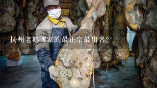 扬州老鹅哪家的最正宗最出名? 扬州老鹅哪家的最正宗最出名?