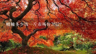 鲢鳙多少钱1斤市场价2022? 鲢鳙多少钱1斤市场价2022?