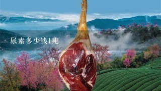 尿素多少钱1吨 尿素多少钱1吨