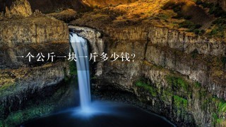 1个公斤1块1斤多少钱? 1个公斤1块1斤多少钱?