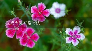 宣威火腿家常吃法 宣威火腿家常吃法
