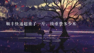 顺丰快递超重了1斤,续重费多少米 顺丰快递超重了1斤,续重费多少米
