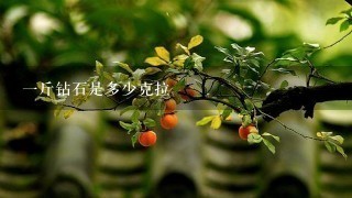 1斤钻石是多少克拉 1斤钻石是多少克拉
