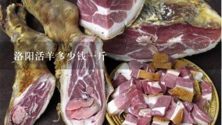 洛阳活羊多少钱1斤 洛阳活羊多少钱1斤
