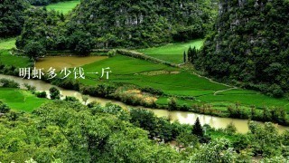 明虾多少钱1斤 明虾多少钱1斤