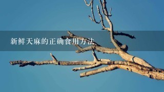 新鲜天麻的正确食用方法 新鲜天麻的正确食用方法