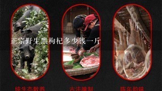 正宗野生黑枸杞多少钱1斤 正宗野生黑枸杞多少钱1斤