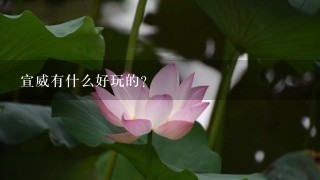 宣威有什么好玩的? 宣威有什么好玩的?