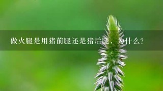 做火腿是用猪前腿还是猪后腿,为什么? 做火腿是用猪前腿还是猪后腿,为什么?