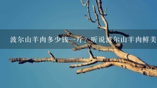 波尔山羊肉多少钱1斤?听说波尔山羊肉鲜美可口,营养价值也很高,不知道价格怎么样。 波尔山羊肉多少钱1斤?听说波尔山羊肉鲜美可口,营养价值也很高,不知道价格怎么样。