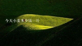 今天小麦多少钱1斤 今天小麦多少钱1斤
