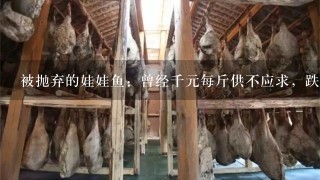 被抛弃的娃娃鱼:曾经千元每斤供不应求,跌落神坛却 被抛弃的娃娃鱼:曾经千元每斤供不应求,跌落神坛却