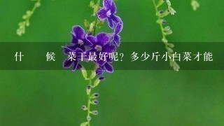 什麼時候曬菜干最好呢?多少斤小白菜才能曬1斤菜幹呢? 什麼時候曬菜干最好呢?多少斤小白菜才能曬1斤菜幹呢?