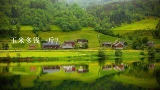 玉米多钱1斤? 玉米多钱1斤?